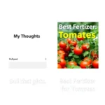 31508 3. Write Stuff People Actually Want (Not Just What You Feel Like Ranting About)