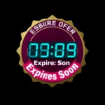 21109 Digital countdown timer next to a bonus badge with a deadline warning.