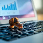 22709 Snail on laptop keyboard symbolizing slow results for new internet marketers