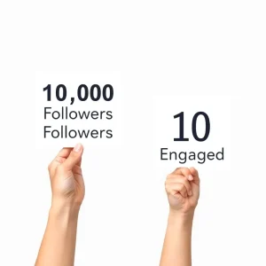 Choosing between follower count and engagement in internet marketing

