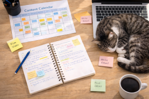 Behind-the-scenes photo of a creator&rsquo;s workspace used to build online trust.

